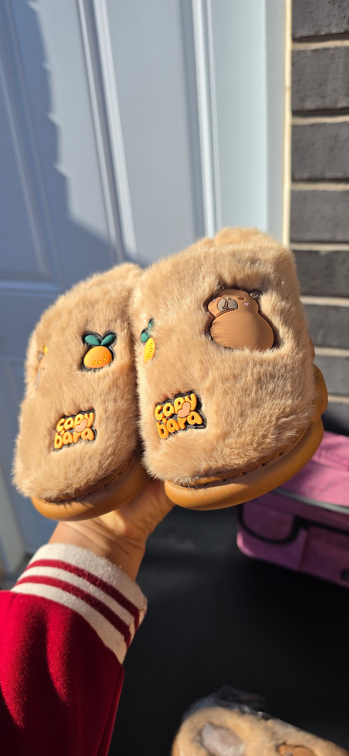 Tan capybara slippers photographed in natural light